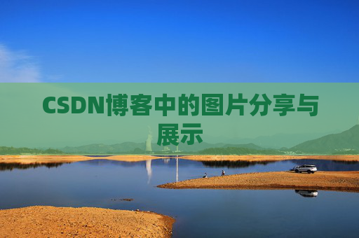 CSDN博客中的图片分享与展示